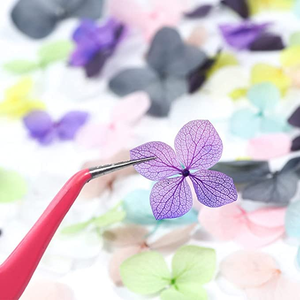 Kit de décoration de fleurs séchées colorées DIY - Product Image 4