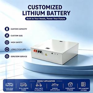 Batteries industrielles LiFePO4 DC 51.2V100AH OEM/ODM personnalisées à longue durée de vie pour PV, AGVs robustes et micro-réseaux - Product Image 1
