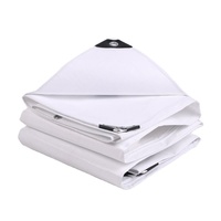 Bâche en PE Premium Imperméable Robuste pour Tente Extérieure avec Œillets Taille Personnalisable