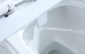 एसोकोरियो पैरा बाड मैनुअल बाइड लक्जरी शौचालय बिडेट हॉट सेलिंग नोजल स्व-सफाई बाइक शौचालय सीट - Product Image 5