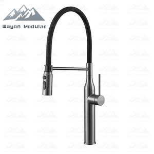 <span class=keywords><strong>Robinet</strong></span> moderne Wayon en acier inoxydable avec douchette extractible et double mode de jet d'eau - Product Image 1