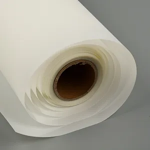 Eko solvent yazdırılabilir baskı su geçirmez şeffaf arkadan aydınlatmalı pet film