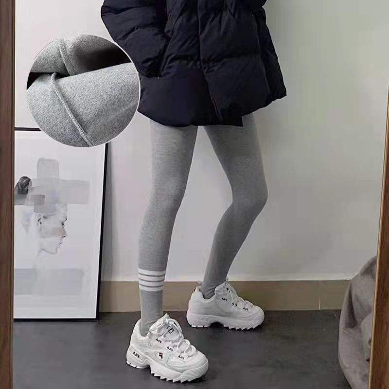 Light Gray of Autumn and Spring Kind