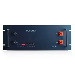 PUSUNG R 48V 100Ah Lifepo4 5kwh 10kwh Lithium Rack montiert Solarenergie Home Battery Pack Speichers ystem