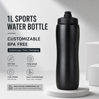 Bouteille d'eau de sport 1000 ml en gros, OEM ODM, couleur personnalisée, pour la gym et le cyclisme