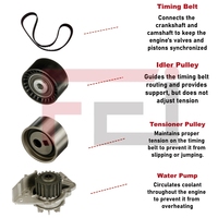 Kit de courroie de distribution complet de la marque FEI avec pompe à eau KP25523XS KTBWP1960 34638 KDP459.290 pour accessoires Citroën pour réparation