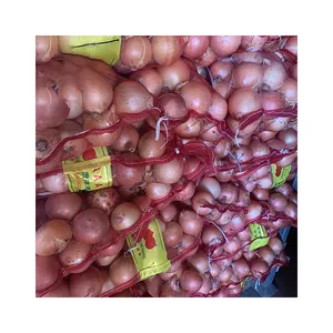 Factory Price Red Price Mesh Bag Fresh Farm Planting Sweet Fresh Onions