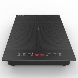 Cuisinière à induction électrique commerciale transfrontalière 2999W haute puissance, panneau en céramique, acier inoxydable, cuisson vapeur, US - Product Image 1