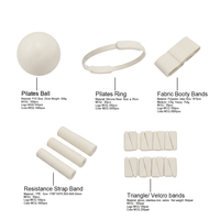 Kit Complet de Pilates : Anneau, Ballon, Poids pour Poignets et Chevilles, Bandes de Résistance pour Entraînements à Domicile et en Studio