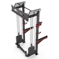 Máquina de Ejercicios Multifuncional REYK de Acero Inoxidable para Montar en la Pared, con Sistema de Poleas Cruzadas y Pila de Pesas de 75 kg+, Equipo de Ejercicio Completo para el Hogar