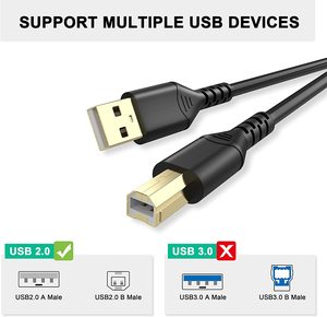 Câble d'imprimante USB 2.0 plaqué or LUNG KAY 10 pieds (3 m) livraison rapide, câble <span class=keywords><strong>de</strong></span> données haute vitesse pour <span class=keywords><strong>scanner</strong></span> et lecteur <span class=keywords><strong>de</strong></span> codes-barres - Product Image 3