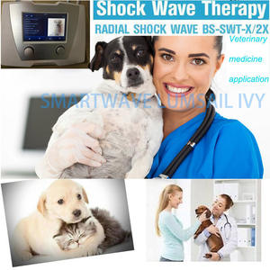 पशु चिरोप्रैक्टिक के लिए शॉक वेव थेरेपी चिकित्सा उपकरण पशु चिरोप्रैक्टिक में प्रमाणित - Product Image 6