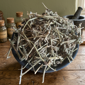 Herba Leucatis Mollissimae Kering Premium Hasil Panen Liar, Irisan Tanaman Leucas Mollissima, Bahan Teh Herbal Tradisional, Kemasan Besar
