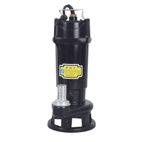 Pompe submersible électrique portable haute pression avec poignée, filtre inférieur, sorties multi-tailles, moteur tout cuivre OEM