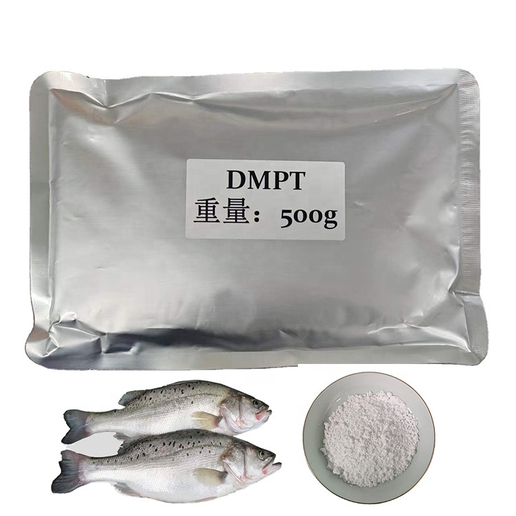 fish lure powder dmpt YIFULIN Fishing Carp Attractive Smell Tackle Food 30g : Sports & Outdoors DMPT Fishing Bait Additive Powder
