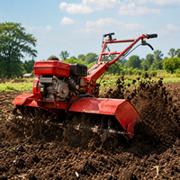 Rotocultivador Anticorrosión, Implemento Agrícola Confiable para el Mantenimiento del Jardín