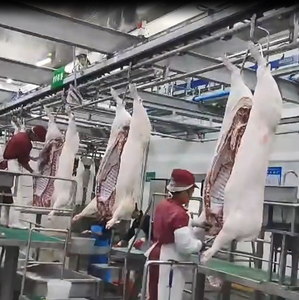 Moteur entièrement automatique avec trois fonctions combinées pour étourdir les porcs vivants dans les lignes d'abattage des porcs