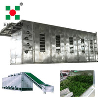China Leverancier Multi-Layer Riem Droger Hete Lucht Drogen Gedehydrateerde Fruit En Groente Riem Drogers Gember Droogmachine