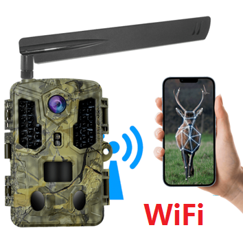 Verde (wifi+energia solare)