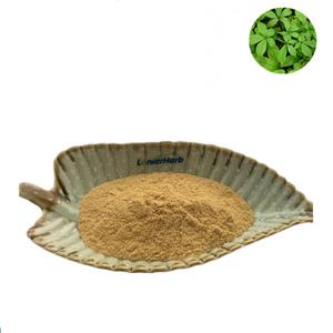 Etiqueta privada CTM WU JIA <span class=keywords><strong>PI</strong></span> Acanthopanax Gracilistylus polvo de extracto de corteza de raíz con el mejor precio - Product Image 1