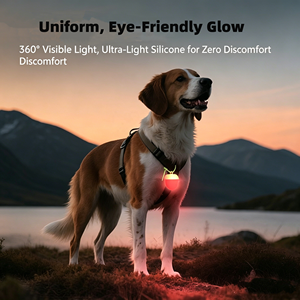 Collar de Perro con Luz LED, Etiqueta de Seguridad para Perros, Luces Nocturnas para Perros y Gatos, para Correr, Acampar, Escalar, Ciclismo - Product Image 5
