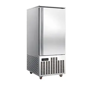 Small Air Cooling Blast Freezer Quick Freezing Fast Freezing Small Refrigeration Machine Refrigerator Chiller for sale