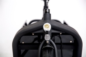 Bicicletta Sportiva Cheetah-E per Adulti, Bici Cargo con Ruota Posteriore, Bici Cargo Elettrica Bafang, Magazzino Europeo - Product Image 3