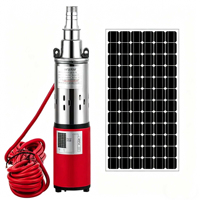 Pompe à eau solaire professionnelle 12V-72V DC en acier inoxydable, haute pression, 1,5m³/h pour l'irrigation agricole