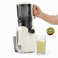 Extracteur de jus à froid silencieux 200W 600ML avec séparation jus et pulpe, directement de l'usine (OEM/ODM) pour les revendeurs d'appareils de cuisine