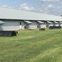 Structure en acier préfabriquée pour élevage de poulets de chair, 1000 mètres carrés, poulets, canards, volailles
