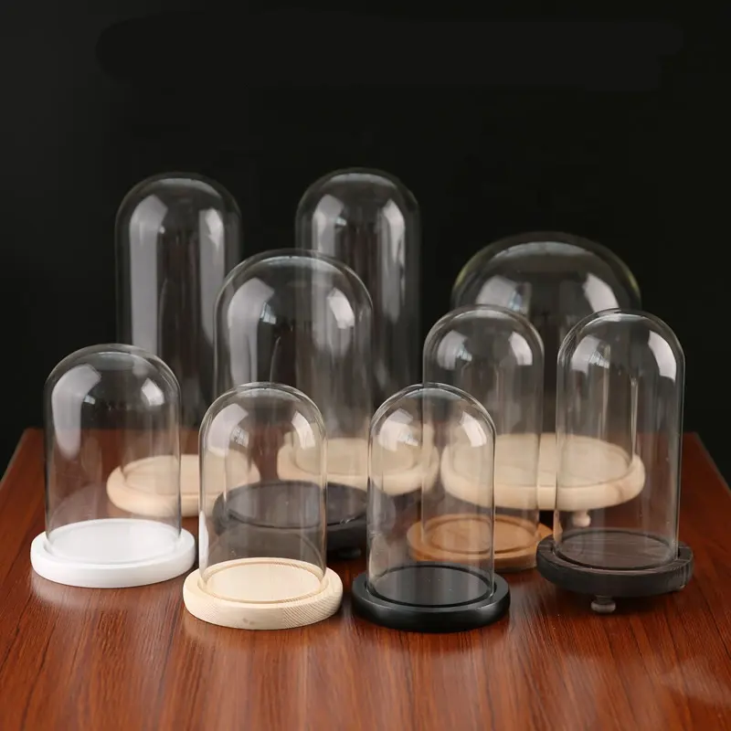 customized glass cover decorative glass dome with wooden base