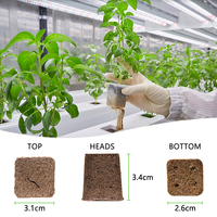 Système de jardinage hydroponique élevé Kit de gousses de graines modernes éponge de culture de plantes biodégradables pour semis de plantes de sol Pot de fleur