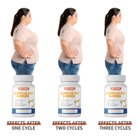 Capsules Détox Certifiées GMP à Marque Blanche, Formule Naturelle Brûle-Graisse pour le Soutien Abdominal, Formule à Base de Plantes, Fournisseur OEM ODM