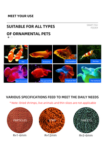 EVNICE-Petite mangeoire automatique pour poissons rouges d'intérieur, machine d'alimentation pour crevettes en plastique écologique, appareil pour poissons - Product Image 5