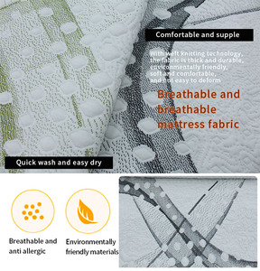 Anti-Pilling Mattress <strong>Fabric</strong> <strong>Manufacturer</strong> <strong>Sofa</strong> <strong>Fabric</strong> Upholstery Jacquard White Embossed Large Flowers Jacquard <strong>Fabric</strong> - Product Image 3