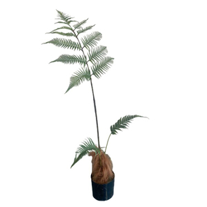 Dongguan ต้นเฟิร์นพลาสติกสีทองสำหรับปลูกต้นไม้ปลอมสำหรับงานฝีมือ - Product Image 5