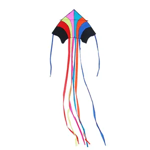 Kites Import Wholesale Outdoor Easy Flying Large Delta Long Tail Umbrella Cloth Huge Adult Beach Thread Flying Kite