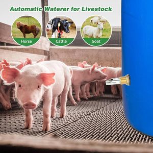 1/2 ''304 thép không gỉ núm vú wartrer bán buôn uống <span class=keywords><strong>piggery</strong></span> thiết bị tự động đài phun nước lợn lợn núm vú uống - Product Image 2