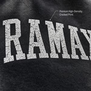Camiseta de Manga Larga para Hombre, Personalizada, 360GSM, Estilo Vintage Lavado, con Letras de Chenilla, Cuello Redondo, Bajo sin Rematar, OEM ODM - Product Image 3