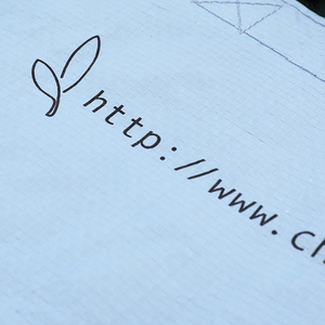 Colorbag Sản Phẩm Mới Túi Tote Mua Sắm Không Dệt Nhiều Lớp <span class=keywords><strong>Pp</strong></span> Có Thể Tái Sử Dụng Tùy Chỉnh - Product Image 6