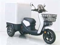 Tricycle adulte de 12 pouces, vélo cargo électrique 5000W, ne se retourne jamais, charges lourdes, tricycle électrique à trois roues, moto électrique EV