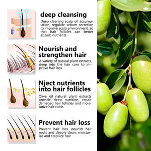 Vente en gros de produits de nettoyage pour les cheveux naturels Shampooing à l'huile d'<span class=keywords><strong>olive</strong></span> Shampooing hydratant antipelliculaire 500ml - Product Image 4