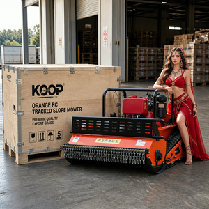 Cortacésped de pendiente con orugas y control remoto CE, motor diésel Koop, <span class=keywords><strong>desbrozadora</strong></span> de martillos, equipo pesado de orugas, venta al por mayor - Product Image 4
