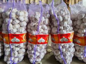 Proveedor de Ajo Blanco Puro Fresco de Shandong, Venta al por Mayor con Empaque en Bolsa de Malla, Nueva Cosecha de Primera Calidad - Product Image 6