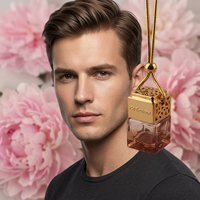 Vente en gros de flacons diffuseurs de parfum pour voiture en verre