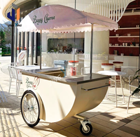 Chariot réfrigéré manuel pour glaces, jus et snacks – Idéal pour la plage