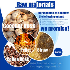 Richi Hiệu Quả Cao Sinh khối Nhiên Liệu Pellet Mill 3-4T/H Palm Sợi Vỏ Đậu Phộng Gạo Vỏ Máy Giá Tại Ấn Độ - Product Image 2