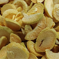 Groothandel Gevriesdroogde Abrikoos Zure Zoete Smaakvolle Heerlijke Voeding Gezonde Snacks Fd Food Plak Poeder Gevriesdroogd Fruit