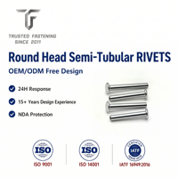 Rivets semi-tubulaires à tête ronde en acier au carbone TianFang pour la production d'instruments de musique, finition zinguée, outillage personnalisé