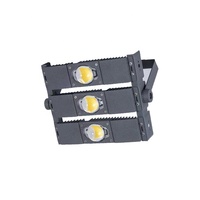 Boîtier en aluminium étanche Ip65 Module cob lumière de tunnel led 200w pour l'éclairage extérieur